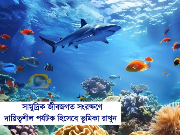 সামুদ্রিক জীবজগত সংরক্ষণে দায়িত্বশীল পর্যটক হিসেবে ভূমিকা রাখুন