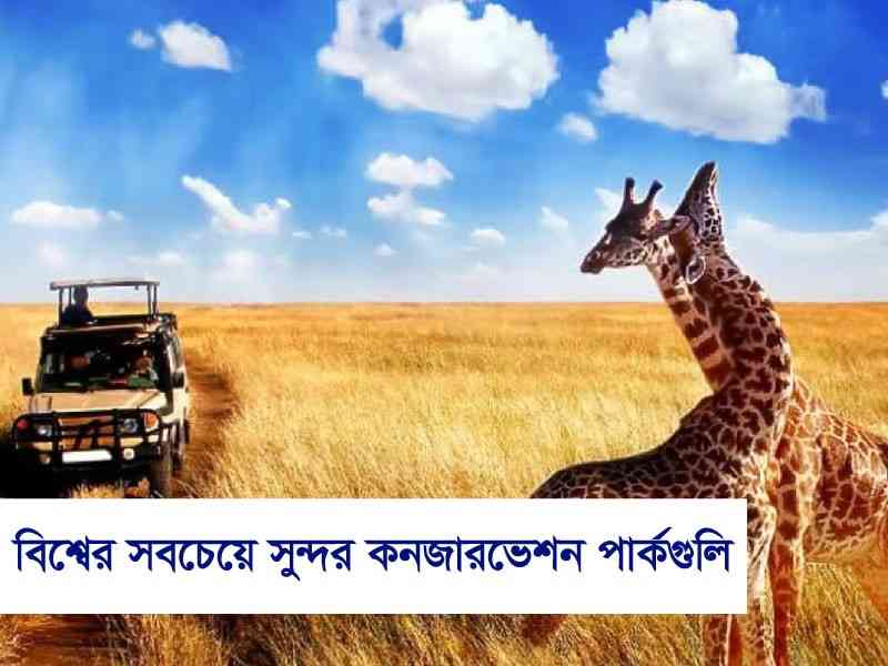 বিশ্বের সবচেয়ে সুন্দর কনজারভেশন পার্কগুলি