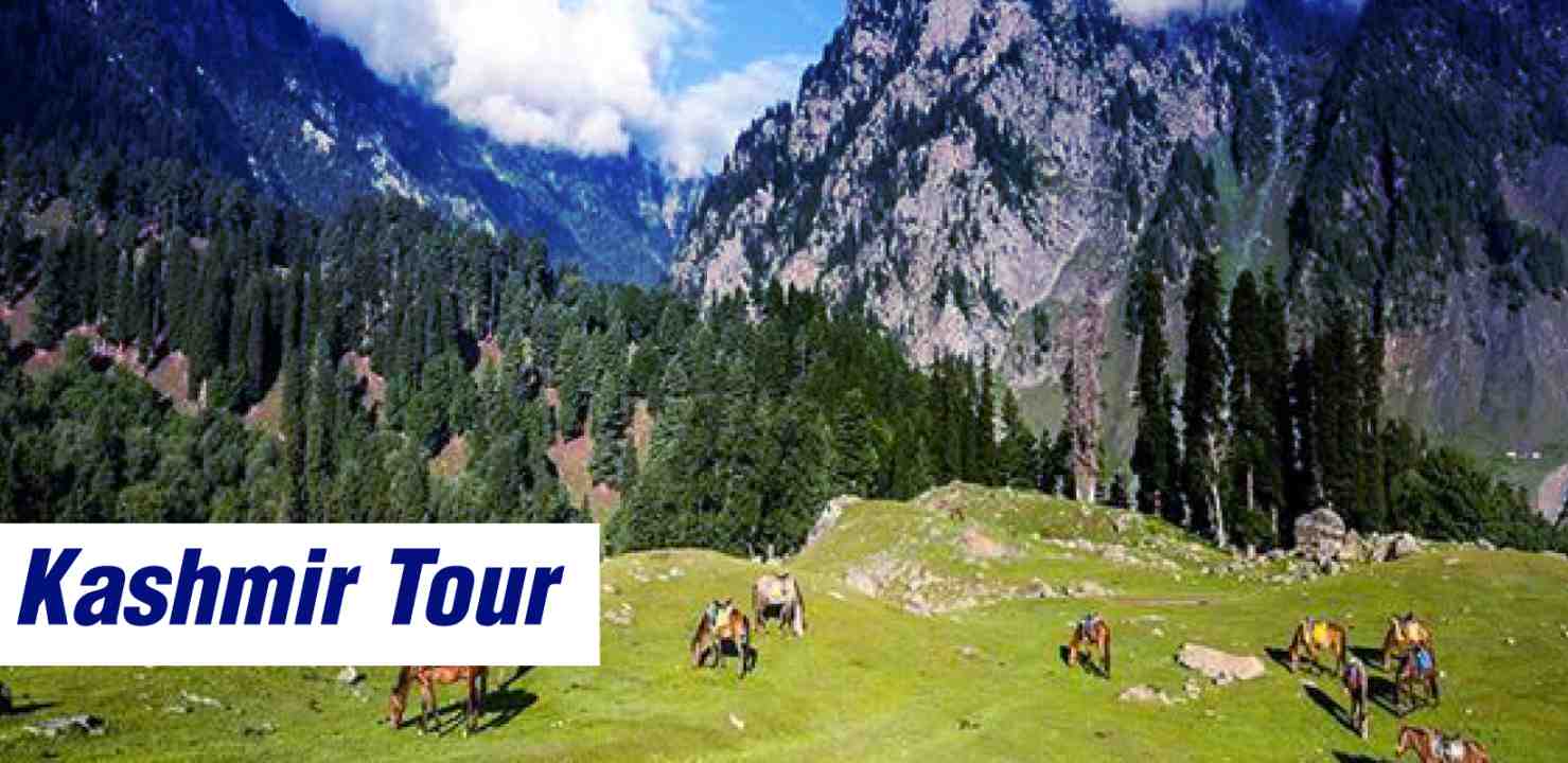 Kashmir Packages