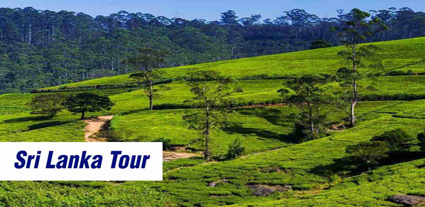 Discover Sri Lanka