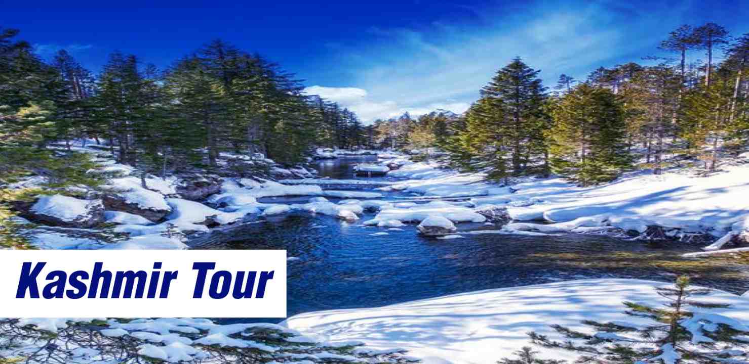 Kashmir Serenity: Discovering Tranquil Landscapes