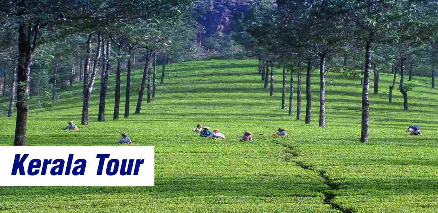 Getaway To Kerala