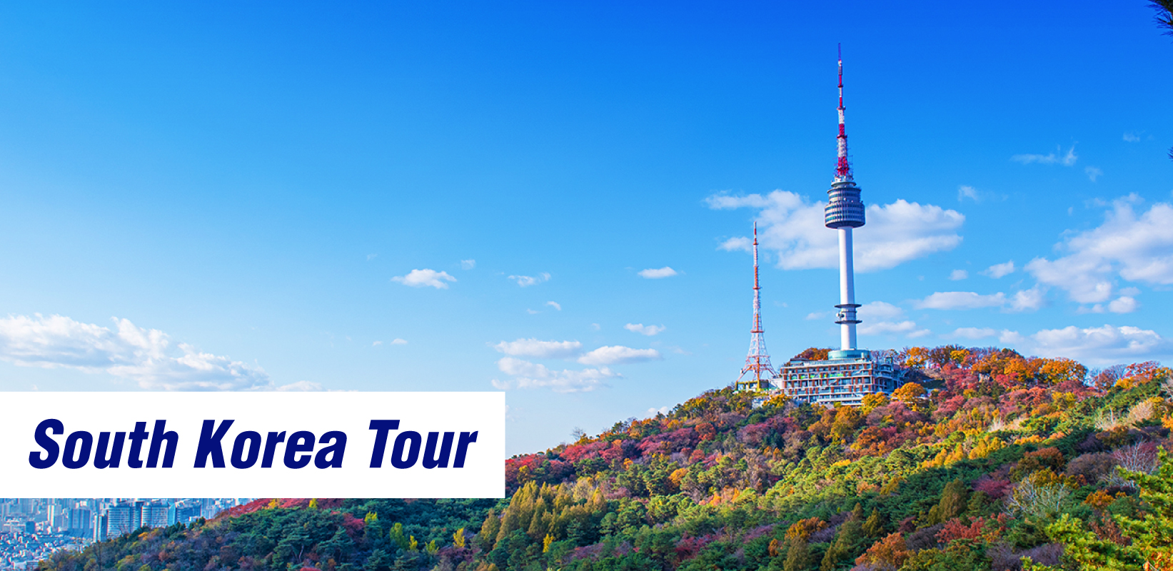 South Korea 4 Nights / 5 Days Tour Package