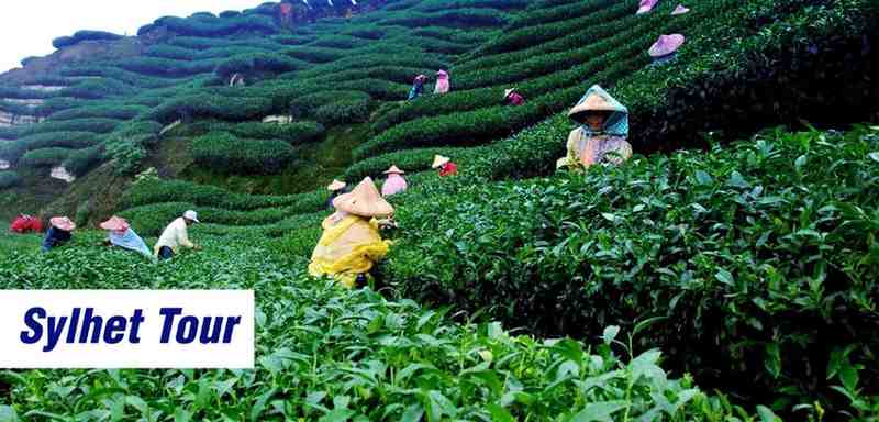 2 Nights / 3 Days Sylhet Tour With Air Package